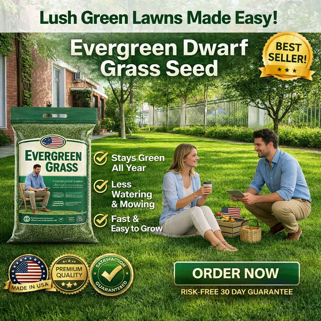 /69ef0deac937e10009e30c48/2026/04/27/product-img-69ef13d3f3feac0736a89938.png
