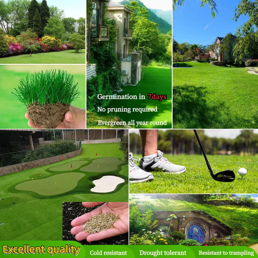 /69ef0deac937e10009e30c48/2026/04/27/product-img-69ef13d3f3feac0736a8993a.png